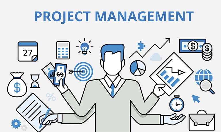 Organisational Project Management