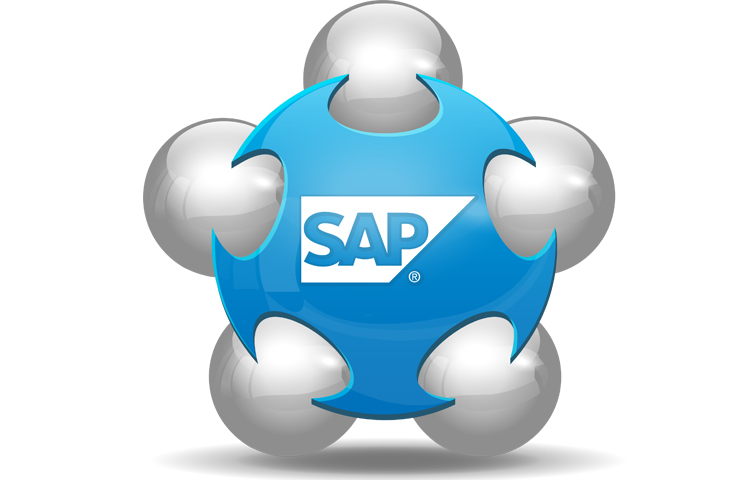 About SAP